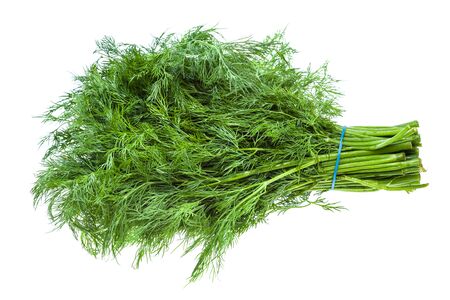 Big bunch of fresh green dill herb isolated on whiteの写真素材