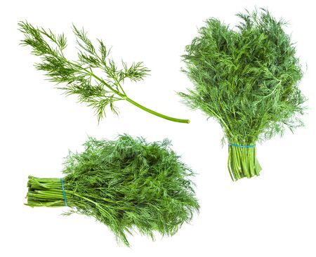 Set from fresh green dill herb isolated on whiteの写真素材