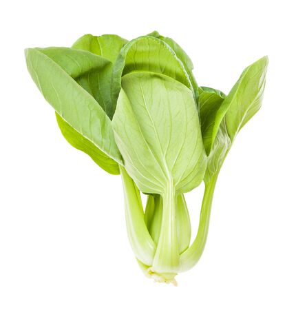 green bok choy ( pak choi) Chinese cabbage isolated on white backgroundの写真素材