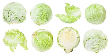 Various leaves and heads of white cabbage isolated on whiteの写真素材