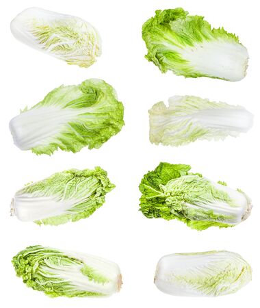 Various heads and leaves of Napa cabbages  isolated on white backgroundの写真素材