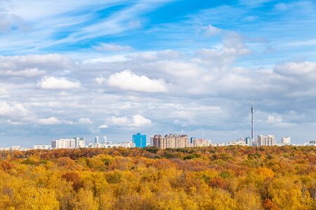 low white clouds in blue sky over yellow city park on sunny autumn dayの写真素材