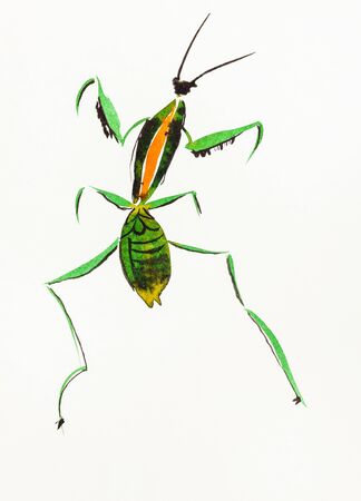 A green mantis hand-drawn by watercolors on creamy-white paperの写真素材