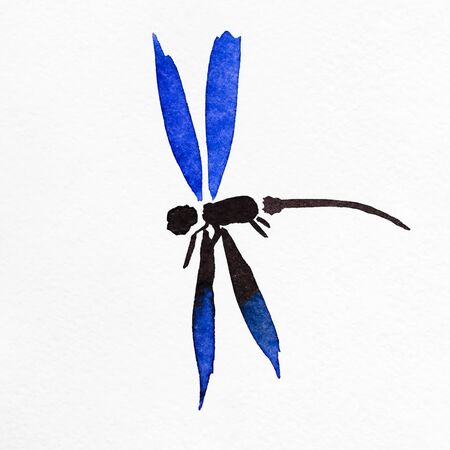 Dragonfly with blue wings hand-drawn by watercolors on white embossed paperの写真素材