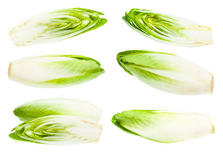 set of ripe fresh of Belgian endive (white Common chicory) isolated on white background