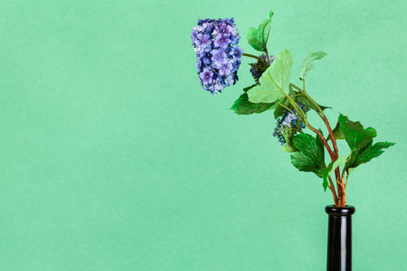 artificial flower in wine bottle on green pastel color background with copyspace
