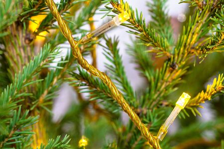 yellow string lights on natural christmas tree close-up indoorの写真素材