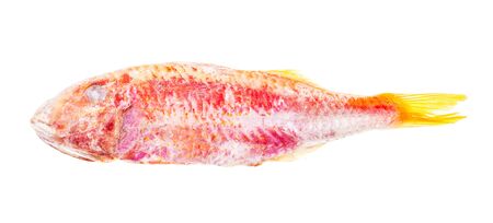 Frozen red mullet fish isolated on whiteの写真素材