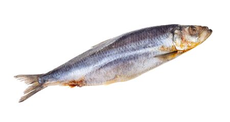 deepfrozen Atlantic herring isolated on white backgroundの写真素材