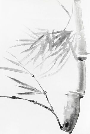 Trunk of bamboo hand-drawn by black ink on old textured paper in sumi-e (suibokuga) styleの写真素材
