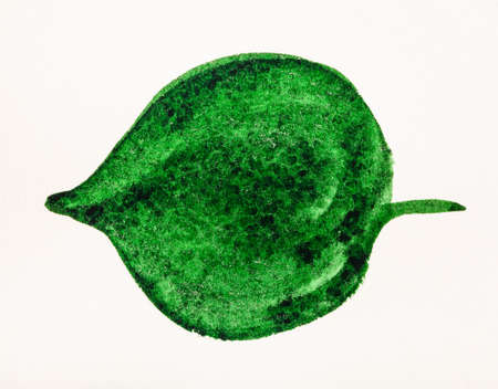 single green leaf of trees hand painted by watercolor paint on creamy textured paperの写真素材