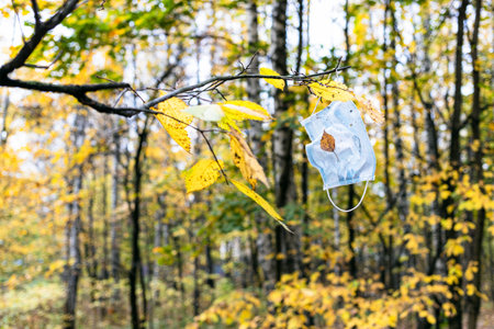 used sanitary face mask hanging on tree branch with yellow leaves in city park on autumn day