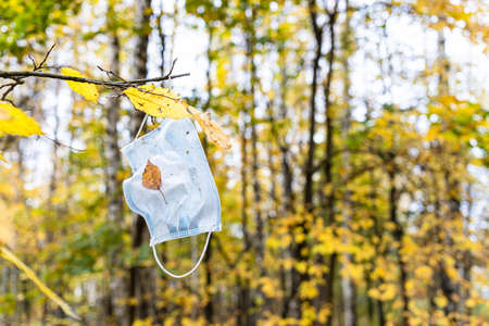 dirty disposable face mask hanging on tree branch with yellow leaves in city park on autumn dayの写真素材