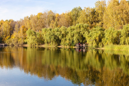 colorful pond with yellow forest in city park on sunny autumn day
