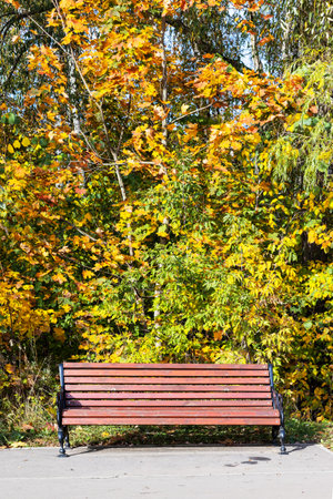 wooden bench under colorful trees in city park on sunny autumn day