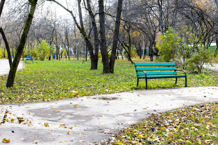 wet path and empty green bench in public city garden on overcast autumn day