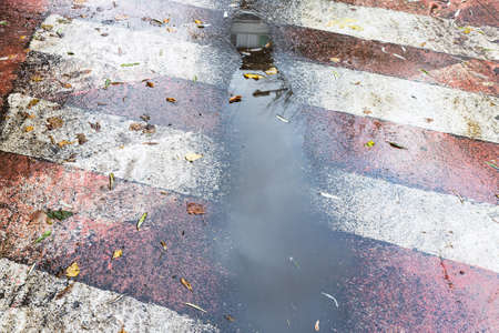 muddy rain puddle on fire road surface marking in city on autumn dayの写真素材