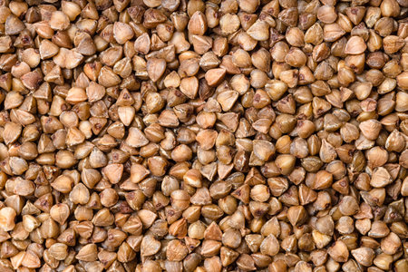 food background - roasted buckwheat grains