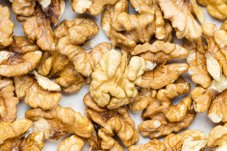 food background - many shelled walnut coresの写真素材