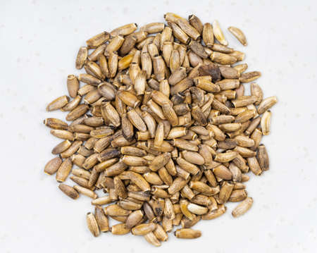 top view of pile of whole milk thistle seeds close up on gray ceramic plateの写真素材