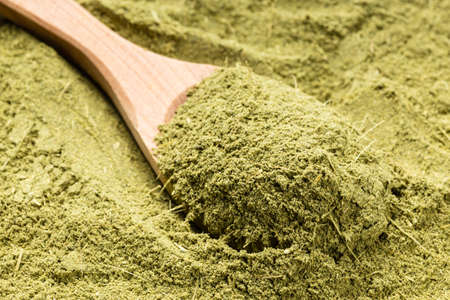 wooden spoon with milled stevia rebaudiana herb (natural sugar substitute) close up on pile of sugarの写真素材