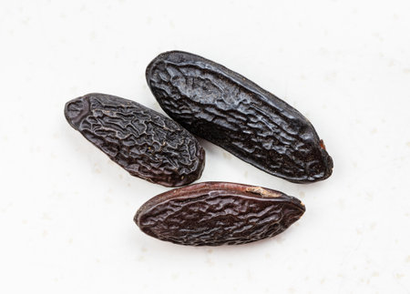 few dried tonka beans close up on gray ceramic plateの写真素材