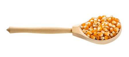 wooden spoon with raw maize corns isolated on white backgroundの写真素材