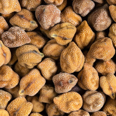 square food background - raw black chickpeas close upの写真素材
