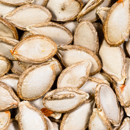 square food background - whole pumpkin seeds close up