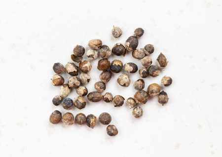 several monk's pepper (vitex) close up on gray ceramic plate
