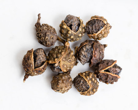 few dried sichuan pepper peppercorns close up on gray ceramic plate