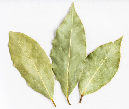 few natural dried Bay Laurel leaves close up on gray ceramic plate