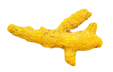 top view of single root of Turmeric (Curcuma) isolated on white backgroundの写真素材