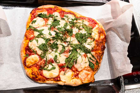 homemade pizza with sliced Mozzarella cheese and green herbs on oven tray in home kitchenの写真素材