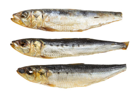 three various smoked pacific pilchard fishes isolated on white background