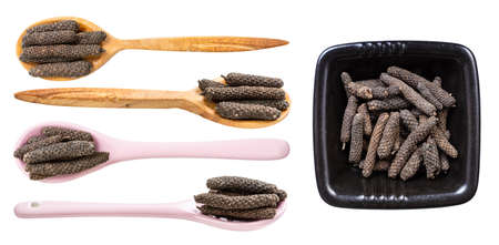 set of various java long peppers isolated on white backgroundの写真素材