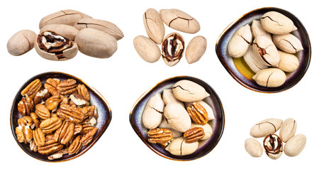 set of various pecan nuts isolated on white background