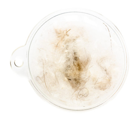 sample puffer jacket padding made of 70% down and 30% duck feathers in sealed transparent container...