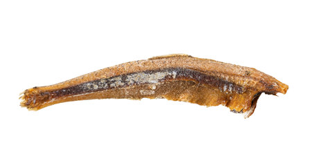 Headless dried anchovy fish isolated on white backgroundの写真素材