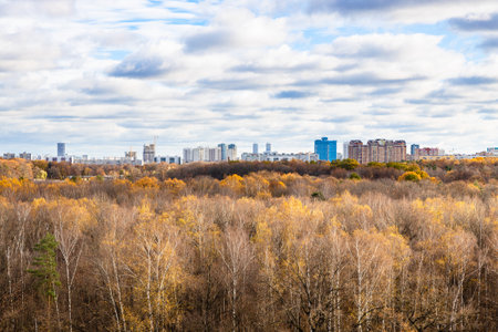 cloudy sky over autumn forest and houses on horizon on autumn dayの写真素材