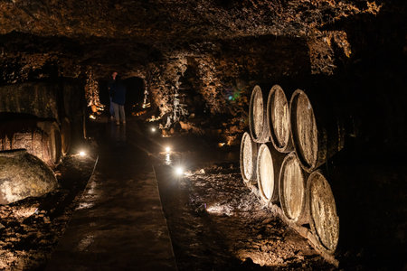 Yerevan, Armenia - October 2, 2023: old wooden barrels in NOY brandy factory dungeon in Yerevan. Noy is the oldest Yerevan factory for production of Armenian cognac, it was founded in 1877のeditorial素材