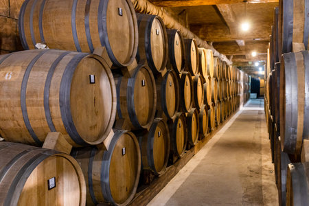 Yerevan, Armenia - October 2, 2023: barrels with brandy in cellar of NOY brandy factory in Yerevan....