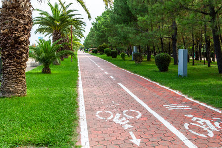 red bicycle line along seafront promenade on seaside boulevard in Batumi city in autumnの写真素材