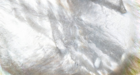 panoramic background made of natural mother-of-pearl surface close upの写真素材