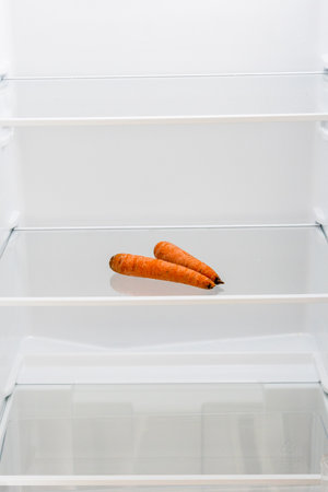 home kitchen refrigerator with two carrots on shelfの写真素材