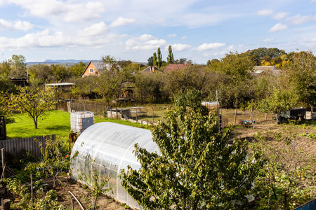 above view of village vegetable garden with greenhouse on sunny autumn dayの写真素材