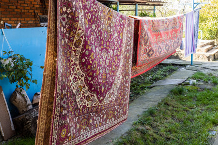 old woolen carpets dry on clotheslines in backyard of village house