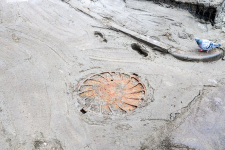 cast iron city sewer manhole cover inside freshly concreted area on city street on rainy day and...