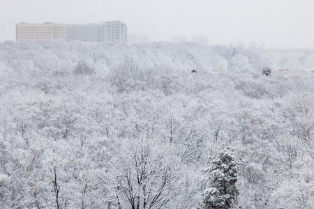 above view of snowfall over forest of city park on winter dayの写真素材