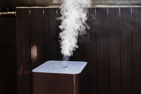 water vapor emitting from household humidifier in living room next to heating radiatorの写真素材